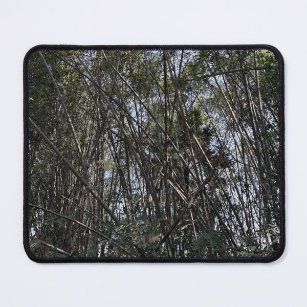 Item preview, Bamboo Niche Creates Harmony designed and sold by cagizji.