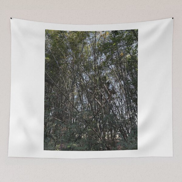 Item preview, Bamboo Niche Creates Harmony designed and sold by cagizji.