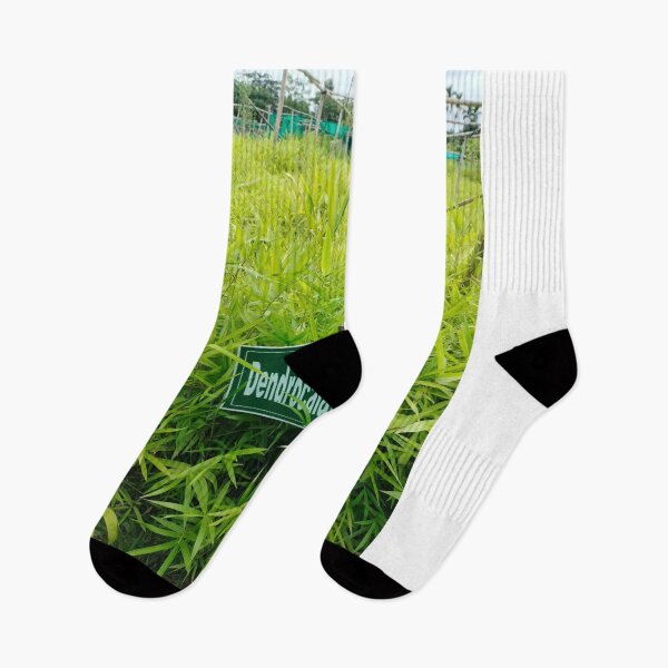 Item preview, Bamboo Niche Adds Warmth designed and sold by cagizji.
