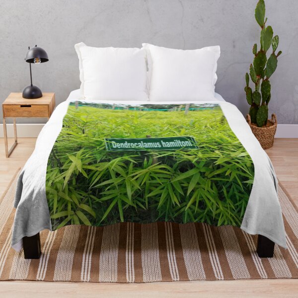 Item preview, Bamboo Niche Adds Warmth designed and sold by cagizji.
