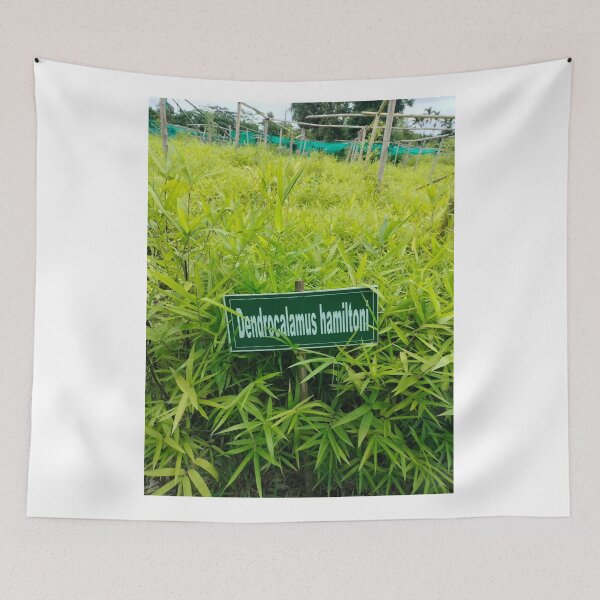 Item preview, Bamboo Niche Adds Warmth designed and sold by cagizji.