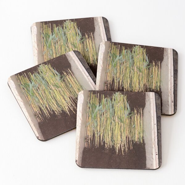 Item preview, Bamboo Ankara Yıldırım Beyazıt Üniversitesi Niche Blends Nature designed and sold by cagizji.