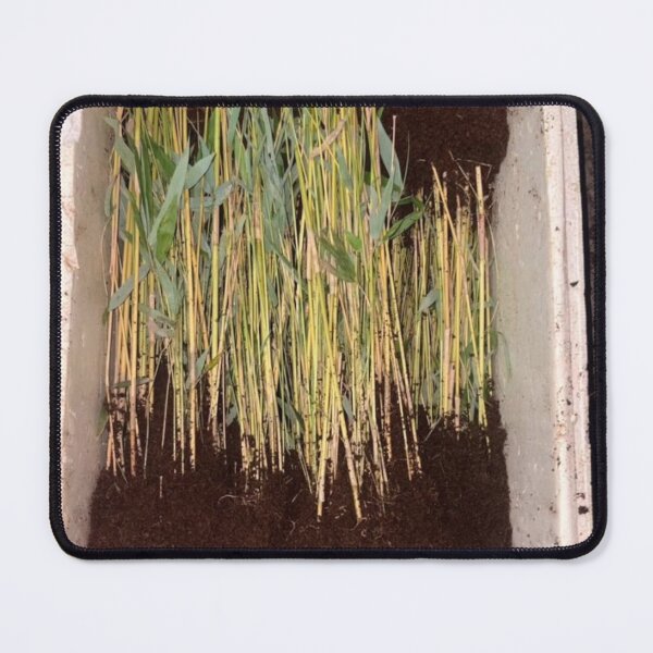 Item preview, Bamboo Niche Blends Nature designed and sold by cagizji.