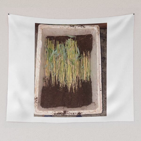 Item preview, Bamboo Niche Blends Nature designed and sold by cagizji.