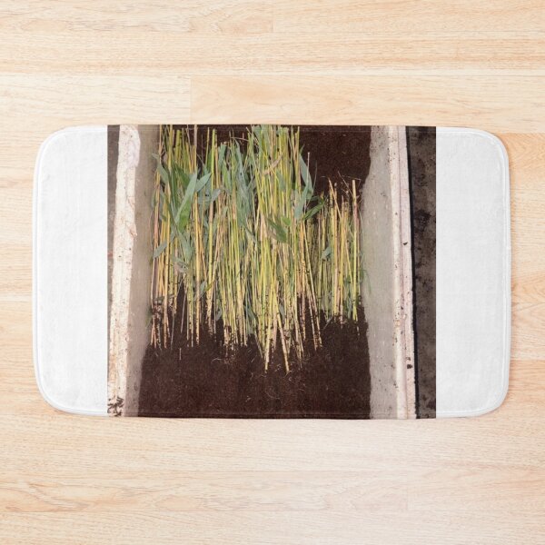 Item preview, Bamboo Niche Blends Nature designed and sold by cagizji.