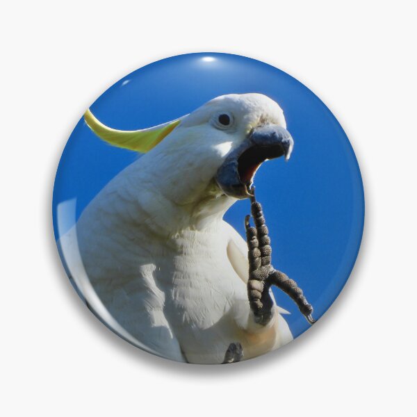 Item preview, Hello there Sulphur-crested cockatoo designed and sold by Mark Grimsley.
