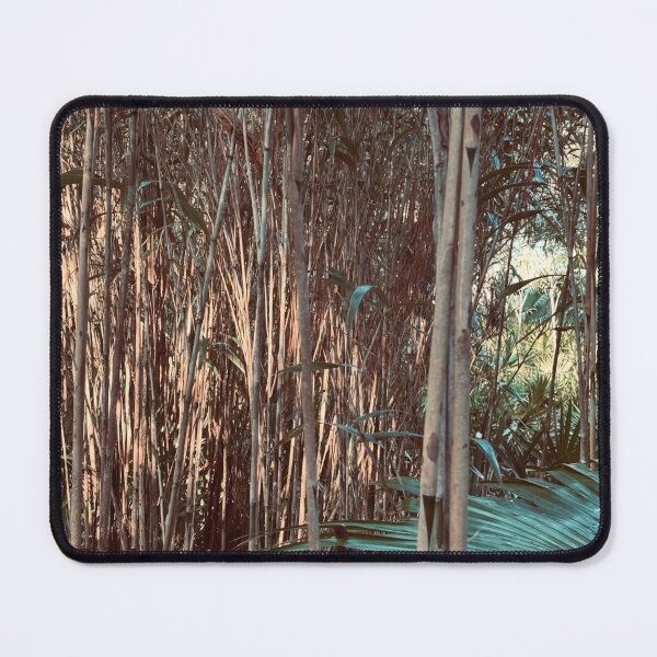 Item preview, Bamboo Niche Reflects Simplicity designed and sold by cagizji.