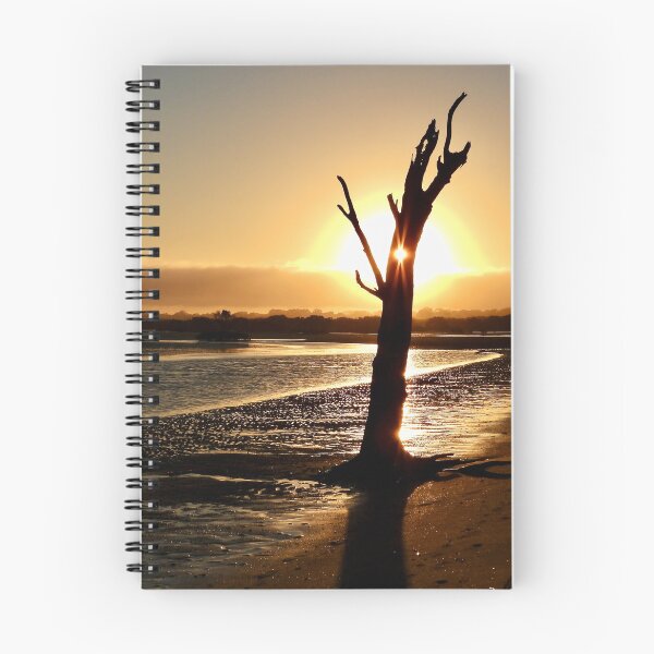 Item preview, Morning sun Dundowran Beach  designed and sold by Mark Grimsley.