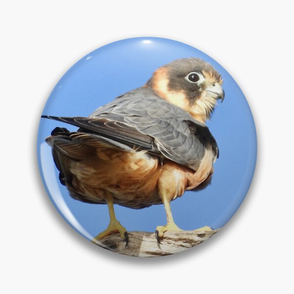 Item preview, Australian Hobby designed and sold by Mark Grimsley.