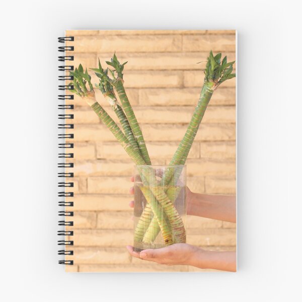Item preview, Bamboo Niche Softens Interiors designed and sold by cagizji.