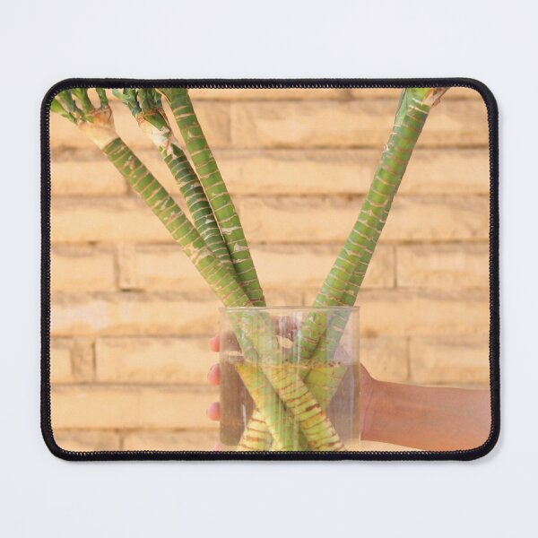 Item preview, Bamboo Niche Softens Interiors designed and sold by cagizji.