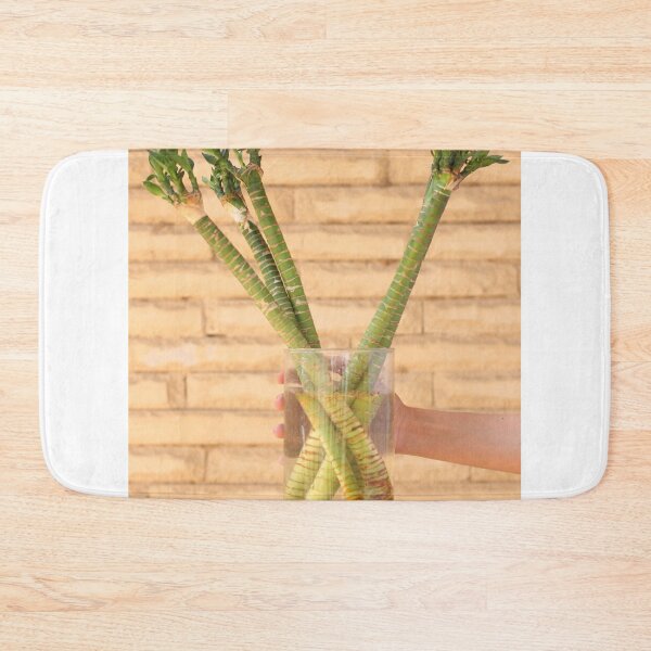Item preview, Bamboo Niche Softens Interiors designed and sold by cagizji.