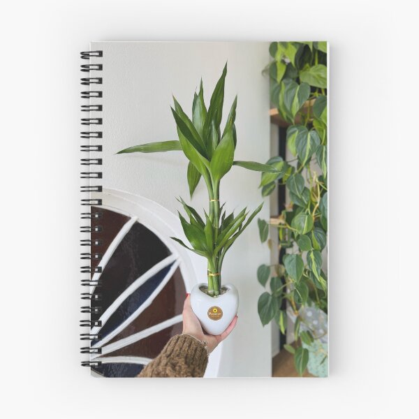 Item preview, Bamboo Niche Enhances Function designed and sold by cagizji.