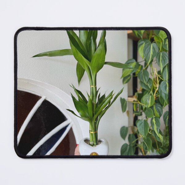 Item preview, Bamboo Niche Enhances Function designed and sold by cagizji.