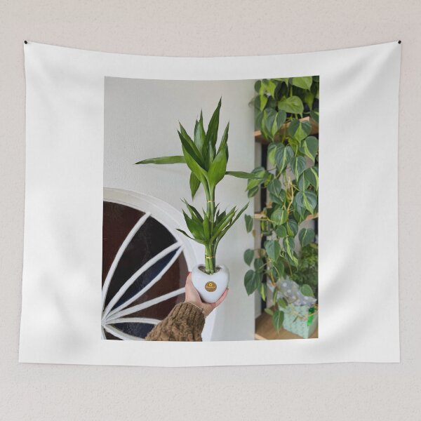 Item preview, Bamboo Niche Enhances Function designed and sold by cagizji.