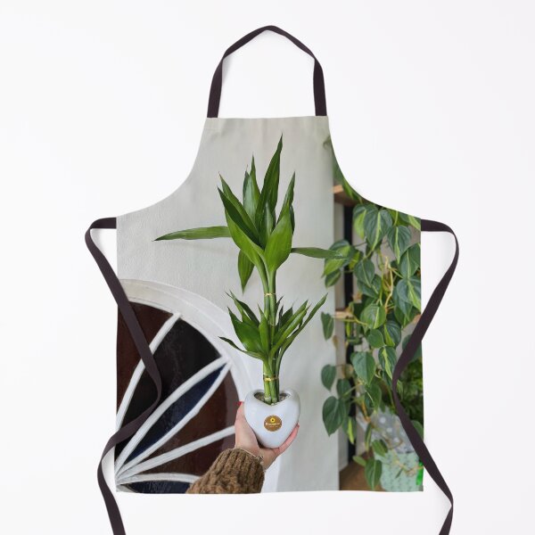 Item preview, Bamboo Niche Enhances Function designed and sold by cagizji.