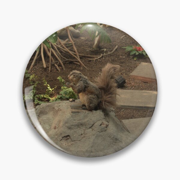 Item preview, Praying Squirrel Animatronic at Sam's Town Hotel designed and sold by MangoSeeds2.