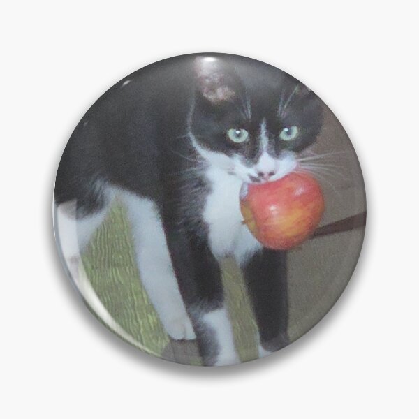 Item preview, Apple cat designed and sold by ArmpitBeans.