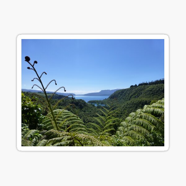 A quintessentially New Zealand view silver ferns across a volcanic lake Sticker