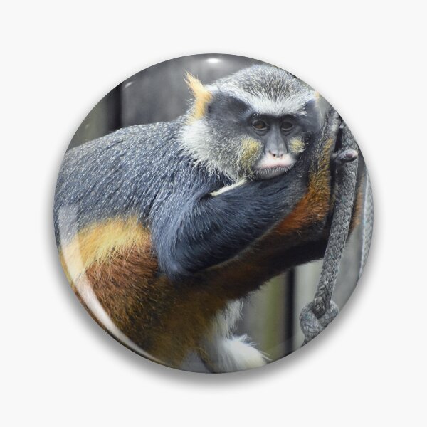 Item preview, Wolf's Den Monkey Resting on Rope Audubon Zoo designed and sold by KillNFuel.