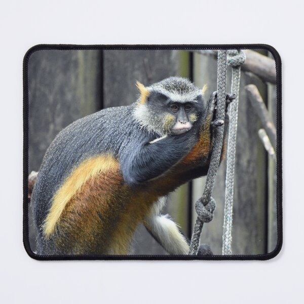 Item preview, Wolf's Den Monkey Resting on Rope Audubon Zoo designed and sold by KillNFuel.