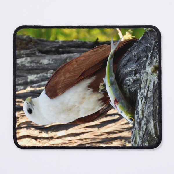 Item preview, Brahminy kite's breakfast designed and sold by Mark Grimsley.