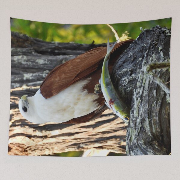 Item preview, Brahminy kite's breakfast designed and sold by Mark Grimsley.