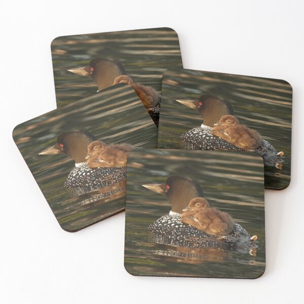 Item preview, Common Loon With Baby Chick Riding on Back designed and sold by locustgirl.