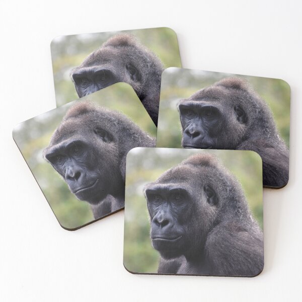 Item preview, Western Lowland Gorilla Portrait at Audubon Zoo designed and sold by KillNFuel.
