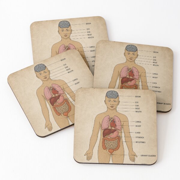 Item preview, Blue Medical Building Human Anatomy Wall Poster DayZ designed and sold by SeriouslyArtistical.