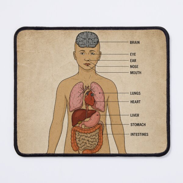 Item preview, Blue Medical Building Human Anatomy Wall Poster DayZ designed and sold by SeriouslyArtistical.