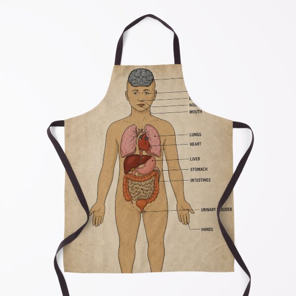 Item preview, Blue Medical Building Human Anatomy Wall Poster DayZ designed and sold by SeriouslyArtistical.