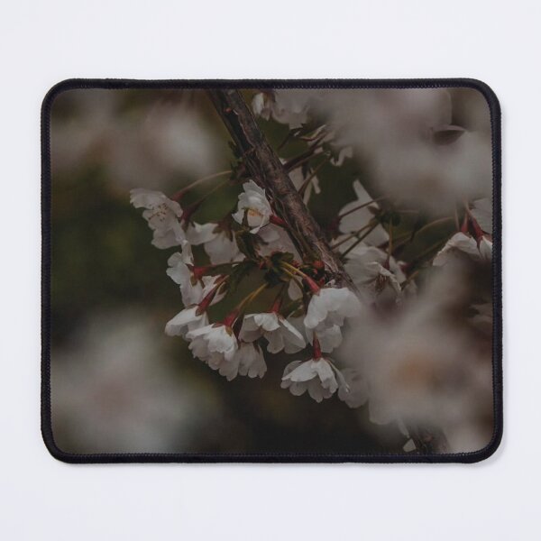 Item preview, Modernist Contrast Study. designed and sold by klo4g.
