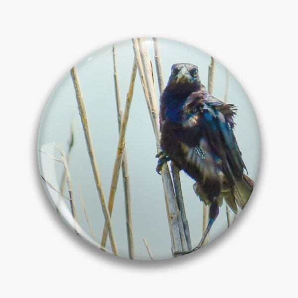Item preview, Reed Watcher designed and sold by Wait, Watch and Wonder Shop.