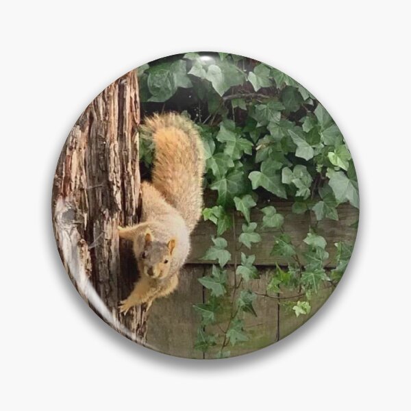 Item preview, Curious Squirrel  designed and sold by Tammy's Handmade Gifts.