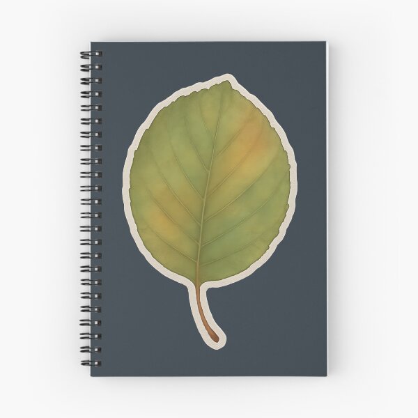 Artikelvorschau, Aquarell-Kollektion botanischer Blätter, inspiriert von der Natur: Erle entworfen und verkauft von PinUpPizzazz.