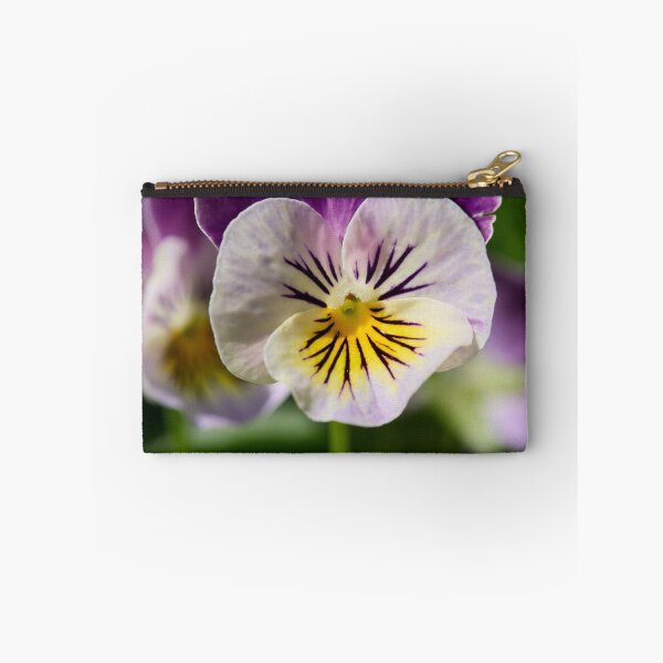 Item preview, Pansy from the garden designed and sold by Jouko Lehto Photography.