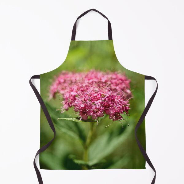 Item preview, Rosa. Dense-flowered Spirea designed and sold by Jouko Lehto Photography.