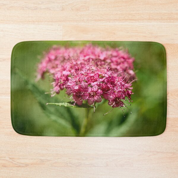 Item preview, Rosa. Dense-flowered Spirea designed and sold by Jouko Lehto Photography.