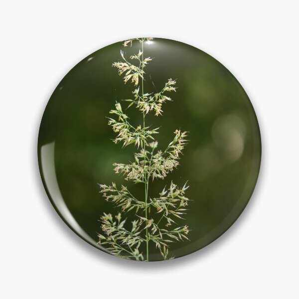 Item preview, Hay in light designed and sold by Jouko Lehto Photography.