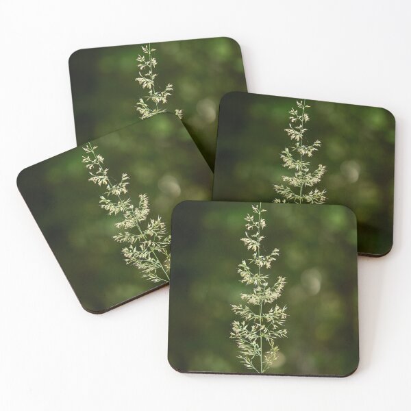 Item preview, Hay in light designed and sold by Jouko Lehto Photography.