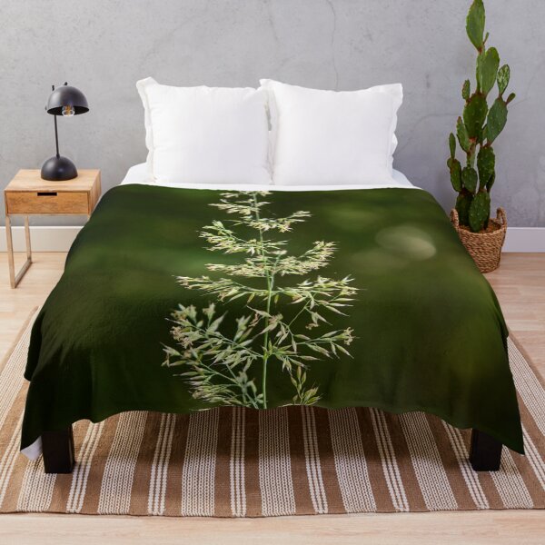 Item preview, Hay in light designed and sold by Jouko Lehto Photography.