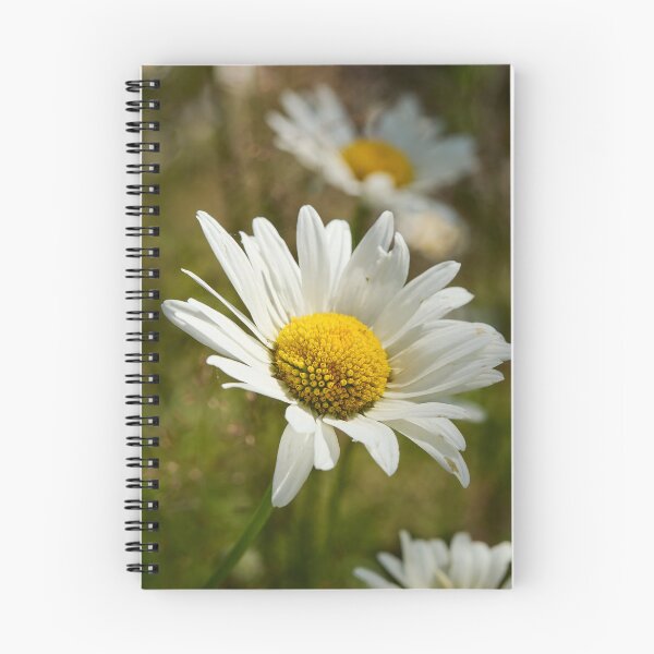 Item preview, Sunlight all over. Oxeye Daisy designed and sold by Jouko Lehto Photography.