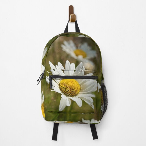 Item preview, Sunlight all over. Oxeye Daisy designed and sold by Jouko Lehto Photography.