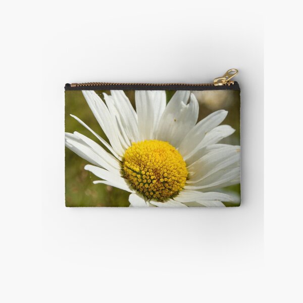 Item preview, Sunlight all over. Oxeye Daisy designed and sold by Jouko Lehto Photography.
