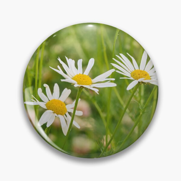 Item preview, Oxeye Daisies all over designed and sold by Jouko Lehto Photography.