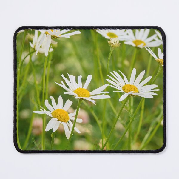 Item preview, Oxeye Daisies all over designed and sold by Jouko Lehto Photography.