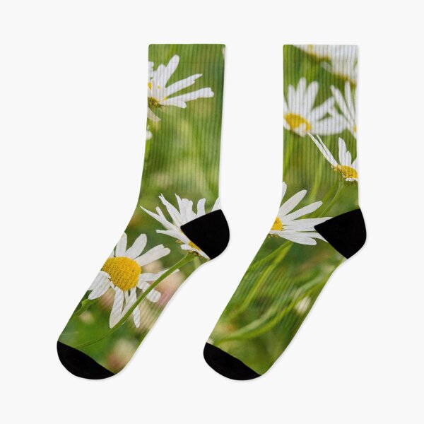 Item preview, Oxeye Daisies all over designed and sold by Jouko Lehto Photography.