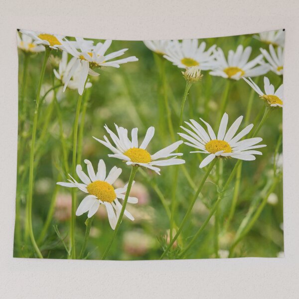 Item preview, Oxeye Daisies all over designed and sold by Jouko Lehto Photography.