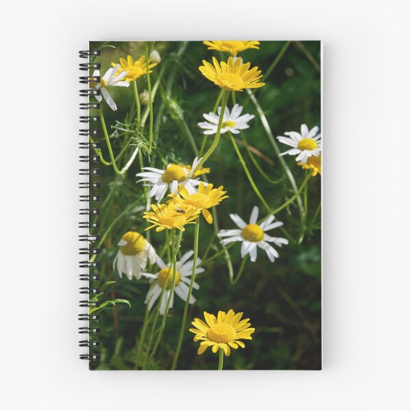 Item preview, Daisies and golden marguerites designed and sold by Jouko Lehto Photography.